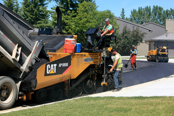 Best Driveway Paving Near Me  in River Ridge, LA